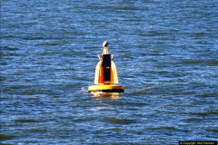 01852013-06-16-By-road-to-Harwich-Essex-and-leaving-by-ship.-1250185