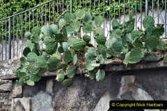 187.2022-07-16-to-18-The-Grand-Tour.-Verona-to-Fasano-Lake-Garda.-187-