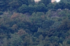 145.2022-07-17-18-The-Grand-Tour.-Fasano-to-Como-Lago-Lake-Como.-145-