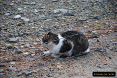 010.2009-09-13-Auschwitz-Birkenau-Poland.-10