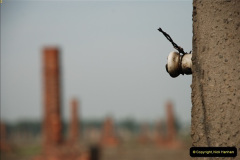 122.2009-09-13-Auschwitz-Birkenau-Poland.-122