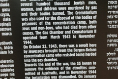 134.2009-09-13-Auschwitz-Birkenau-Poland.-134