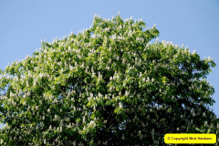 024.2025-04-28-to-30-Wiltshire-3-Day-Break.-Great-Charfield-Manor-Garden-NT.-24-