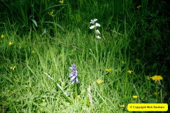 030.2025-04-28-Stourhead-NT.-30
