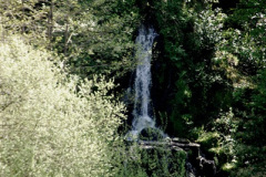 042.2025-04-28-Stourhead-NT.-42