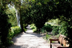 043.2025-04-28-Stourhead-NT.-43