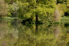 058.2025-04-28-Stourhead-NT.-58