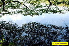 065.2025-04-28-Stourhead-NT.-65