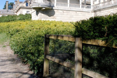 119.2025-04-07-Cliveden-NT-Near-Maidenhead-Berkshire.-119-