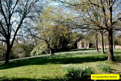 133.2025-04-07-Cliveden-NT-Near-Maidenhead-Berkshire.-133-