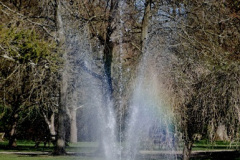 143.2025-04-07-Cliveden-NT-Near-Maidenhead-Berkshire.-143-