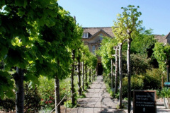 2025 April 28 to 30 Wiltshire 3 Day Break. The Courts Garden (NT)