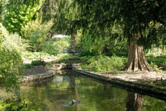 070.2025-04-30-The-Courts-Gardens-NT.-70-