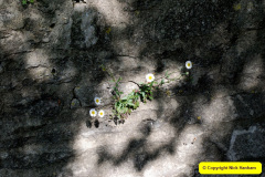 081.2025-04-30-The-Courts-Gardens-NT.-81-