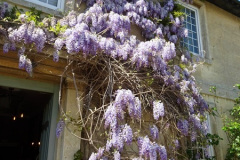013.2025-04_28-to-30-Our-3-Day-Break.-Shabby-Chic-Hotel-Widbrook-Grange-Bradford-on-Avon-Wiltshire.-13-
