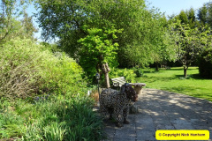054.2025-04_28-to-30-Our-3-Day-Break.-Shabby-Chic-Hotel-Widbrook-Grange-Bradford-on-Avon-Wiltshire.-54-