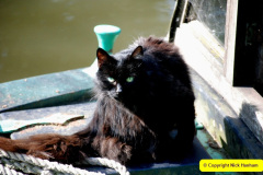 015.2025-04-29-Bradford-on-Avon-and-the-Kennett-Avon-Canal.-15-