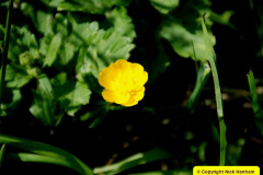 016.2025-04-29-Bradford-on-Avon-and-the-Kennett-Avon-Canal.-16-
