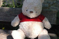 053.2025-04-29-Bradford-on-Avon-and-the-Kennett-Avon-Canal.-53-A-lost-Teddy-Bear