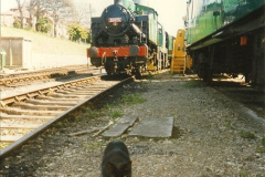 005.2025-08-07-Swanage-Railway-Cats.-5-The-first-cat.-