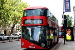 050.2025-08-10-11-Mostly-London-Buses.-50-