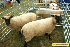 019.2025-08-13-Gillingham-Shaftesbury-Show.-19-