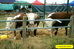 052.2025-08-13-Gillingham-Shaftesbury-Show.-52-