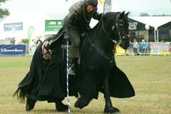 146.2025-08-13-Gillingham-Shaftesbury-Show.-145-