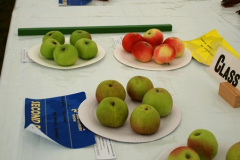 186.2025-08-13-Gillingham-Shaftesbury-Show.-185-