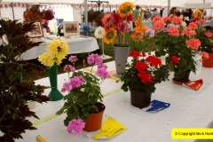 206.2025-08-13-Gillingham-Shaftesbury-Show.-205-