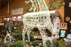 111.2025-12-22-23-Summer-Lodge-Evershot-near-Dorchester-Dorset.-111-Dorchester-Decorated-Garden-Center.-