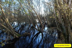2025 December 04 to 05 Studland & Purbeck, Dorset 24 hour break