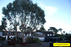 017.2025-12-04-to-05-A-24-hour-break-Studland-and-Purbeck-Dorset.-17-