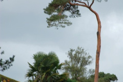 072.2025-12-04-to-05-A-24-hour-break-Studland-and-Purbeck-Dorset.-72-