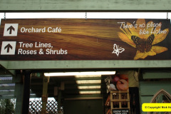 015.2025-02-10-Early-Birthday-treat-breakfast-and-garden-visit-to-Holme-Garden-Center-Wareham-Dorset.-15