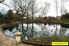 023.2025-02-10-Early-Birthday-treat-breakfast-and-garden-visit-to-Holme-Garden-Center-Wareham-Dorset.-23
