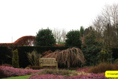 042.2025-02-10-Early-Birthday-treat-breakfast-and-garden-visit-to-Holme-Garden-Center-Wareham-Dorset.-42
