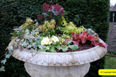 062.2025-02-10-Early-Birthday-treat-breakfast-and-garden-visit-to-Holme-Garden-Center-Wareham-Dorset.-62