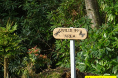 033.2025-02-18-Pre.-Birthday-Meal-for-your-Host-in-Bournemouth.-42-Small-park-area-near-Youe-Hosts-home.-
