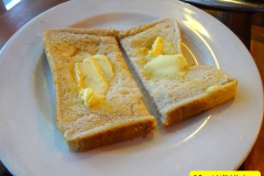 103.2025-02-24-25-New-Forest-stay-at-The-Balmer-Lawn-Hotel-Brockenhurst-Hants.-103