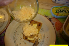 013.2025-January-Grow-your-own-mushrooms-in-a-box.-13-