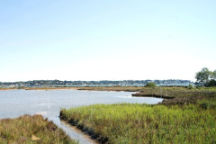 038.2025-07-13-Brownsea-Ialand-Poole-Harbour-Poole-Dorset.-38-