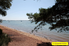 055.2025-07-13-Brownsea-Ialand-Poole-Harbour-Poole-Dorset.-55-
