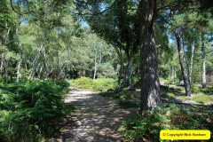 057.2025-07-13-Brownsea-Ialand-Poole-Harbour-Poole-Dorset.-57-
