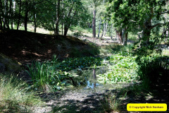 066.2025-07-13-Brownsea-Ialand-Poole-Harbour-Poole-Dorset.-66-
