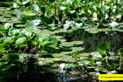 067.2025-07-13-Brownsea-Ialand-Poole-Harbour-Poole-Dorset.-67-