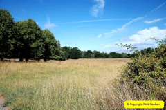 006.2025-07-18-Nelson-Mandela-Jane-Austen-Day-at-Kingston-lacy-NT-Wimborne-Dorset.-6-