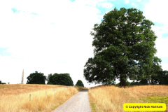 034.2025-07-18-Nelson-Mandela-Jane-Austen-Day-at-Kingston-lacy-NT-Wimborne-Dorset.-34-