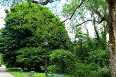 045.2025-06-10-11-Wells-Shepton-Mallet-Gillingham.-45-