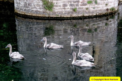 084.2025-06-10-11-Wells-Shepton-Mallet-Gillingham.-84-